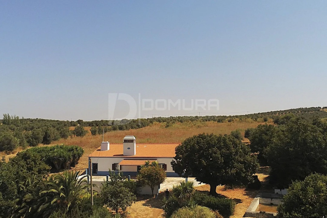 Quinta T3 para Venda em Terrugem e Vila Boim Foto 1