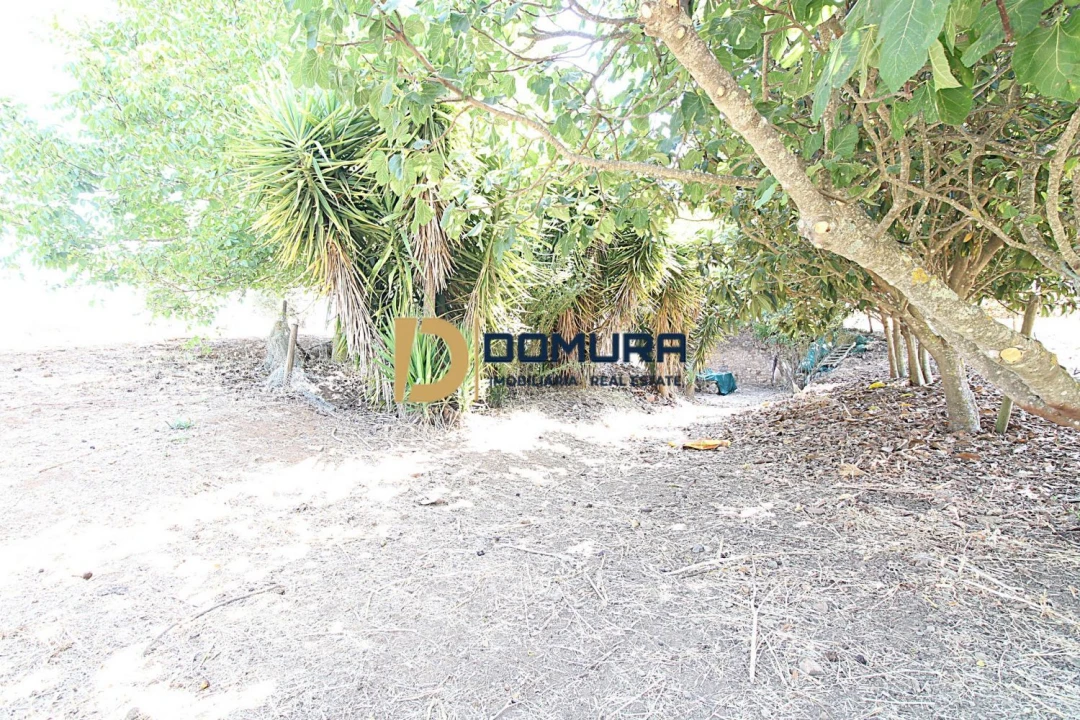 Quinta T3 para Venda em Terrugem e Vila Boim Foto 23