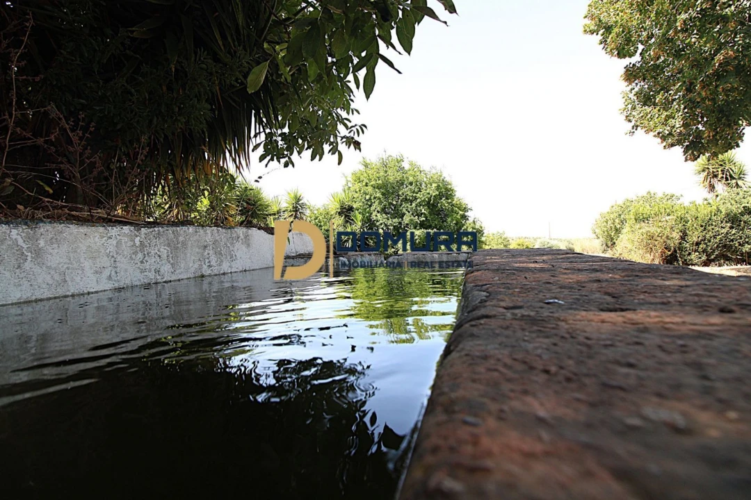 Quinta T3 para Venda em Terrugem e Vila Boim Foto 26