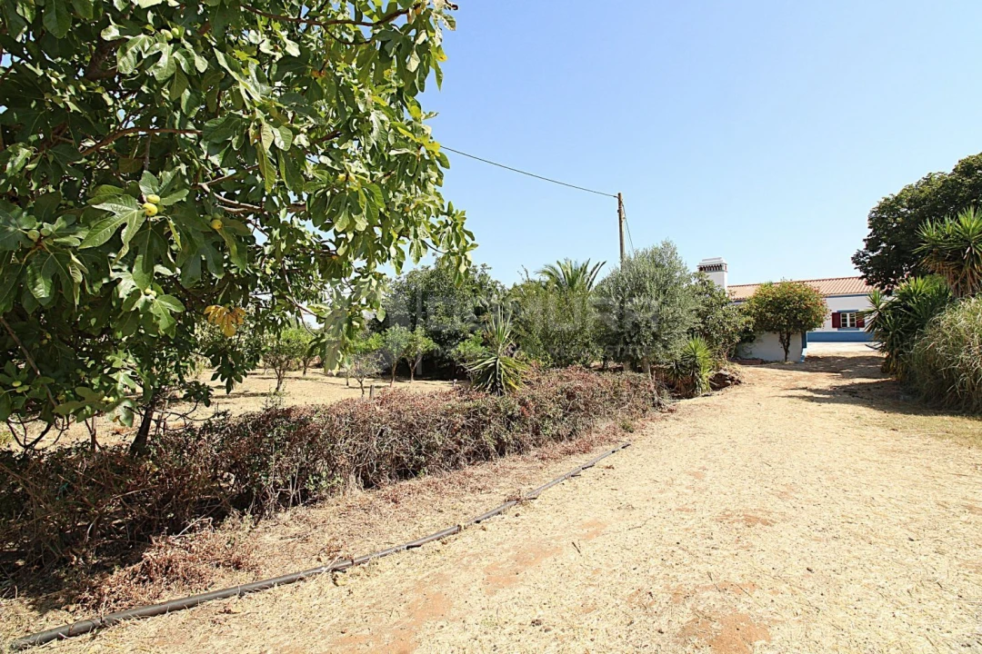 Quinta T3 para Venda em Terrugem e Vila Boim Foto 35