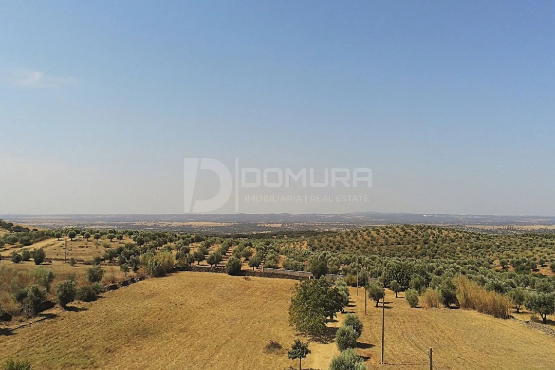 Quinta T3 para Venda em Terrugem e Vila Boim Foto 40