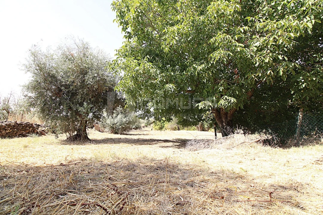 Quinta T3 para Venda em Terrugem e Vila Boim Foto 38