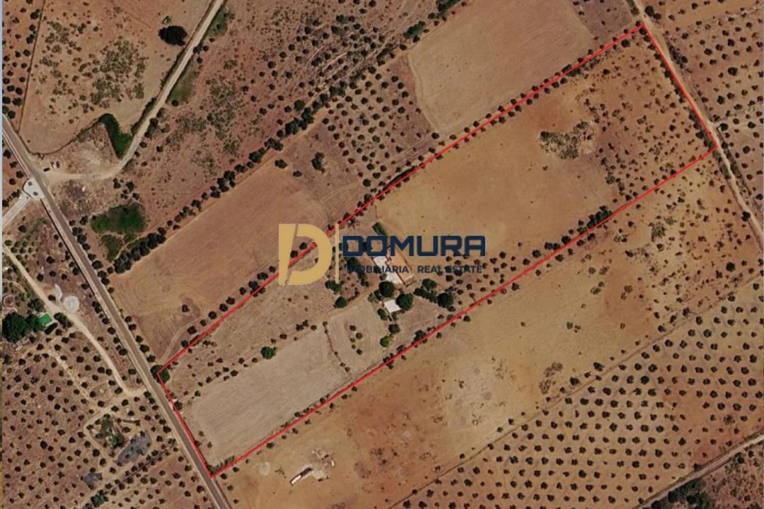 Quinta T3 para Venda em Terrugem e Vila Boim Foto 41