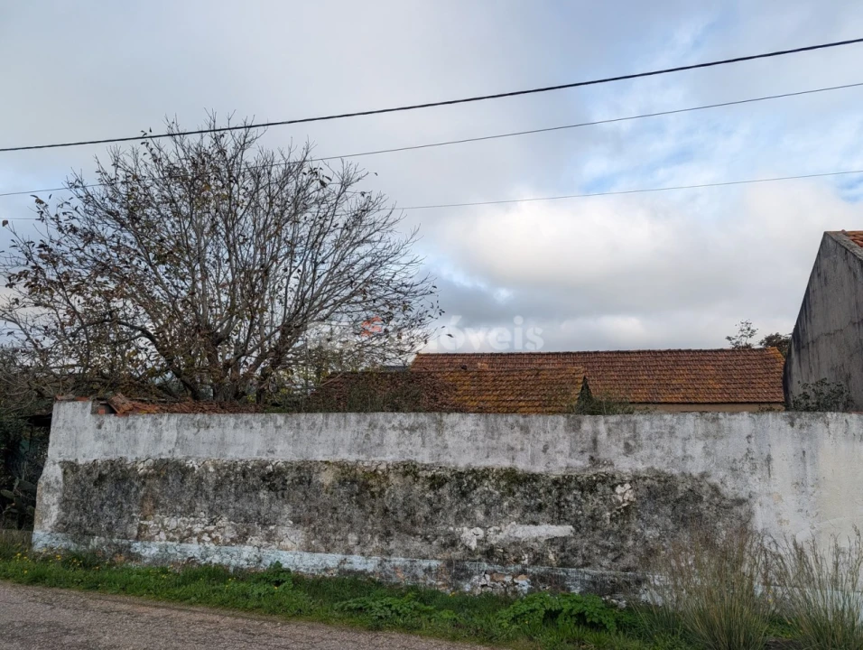 Moradia T4 para Venda em Brogueira, Parceiros de Igreja e Alcorochel Foto 28