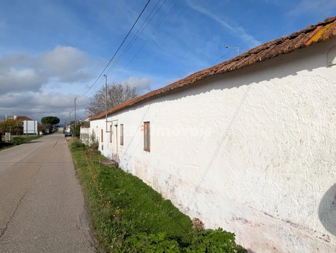 Moradia T4 para Venda em Brogueira, Parceiros de Igreja e Alcorochel Foto 4