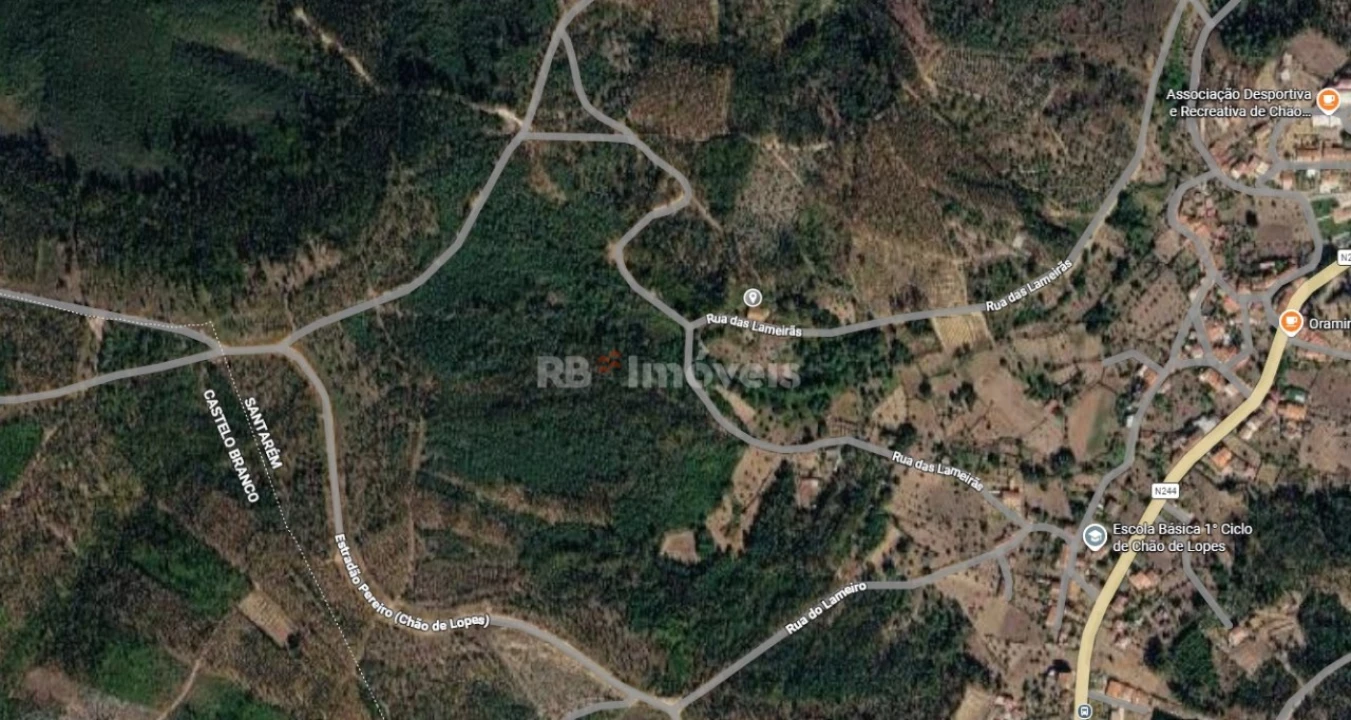 Terreno Agricola ou Rústico para Venda em Amendoa Foto 1