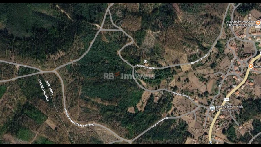 Terreno Agricola ou Rústico para Venda em Amendoa