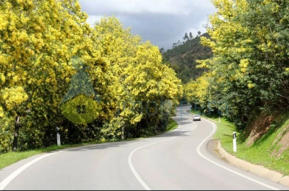 Terreno Agricola ou Rústico para Venda em Monchique