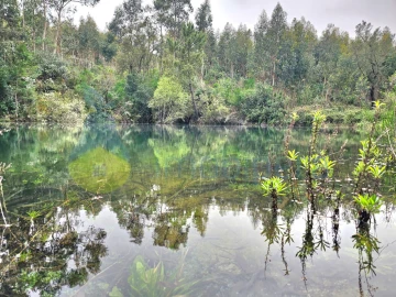 Terreno Agricola ou Rústico para Venda em Monchique
