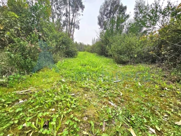 Terreno Agricola ou Rústico para Venda em Monchique