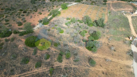 Terreno Agricola ou Rústico para Venda em Guia