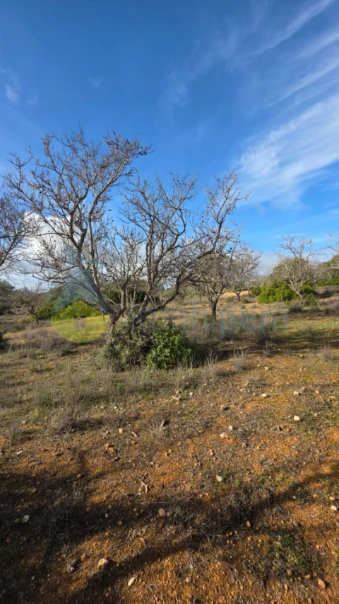 Terreno Agricola ou Rústico para Venda em Guia