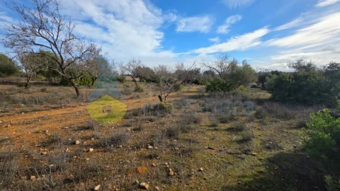 Terreno Agricola ou Rústico para Venda em Guia