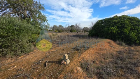 Terreno Agricola ou Rústico para Venda em Guia