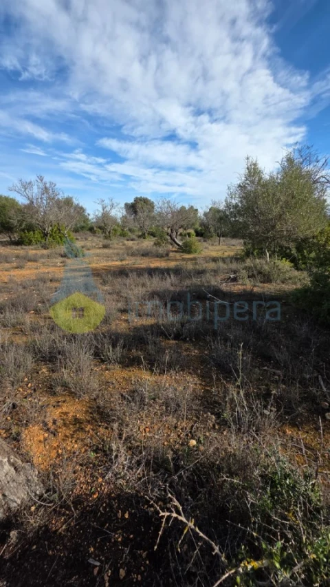 Terreno Agricola ou Rústico para Venda em Guia