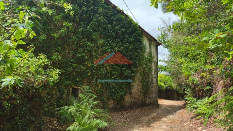 Moradia T4 para Venda em Covas