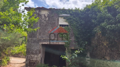 Moradia T4 para Venda em Covas