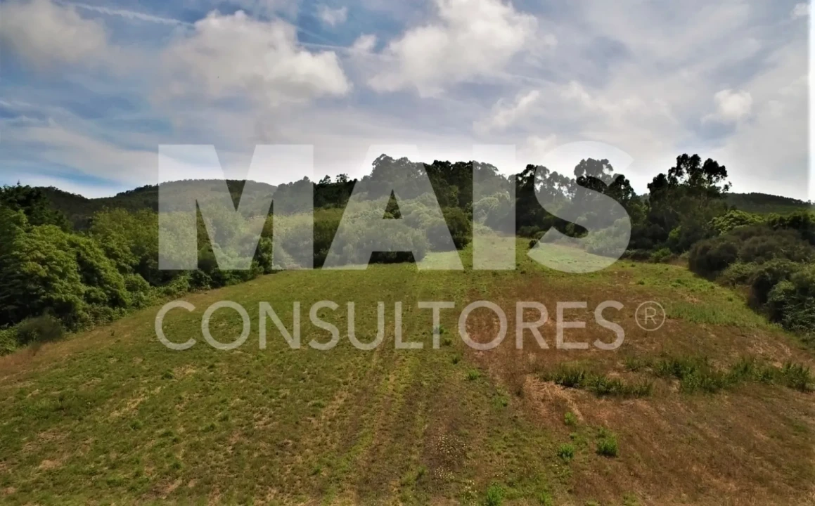 Terreno para Venda em Colares Foto 5