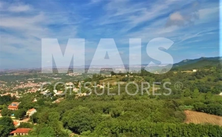 Terreno para Venda em Colares