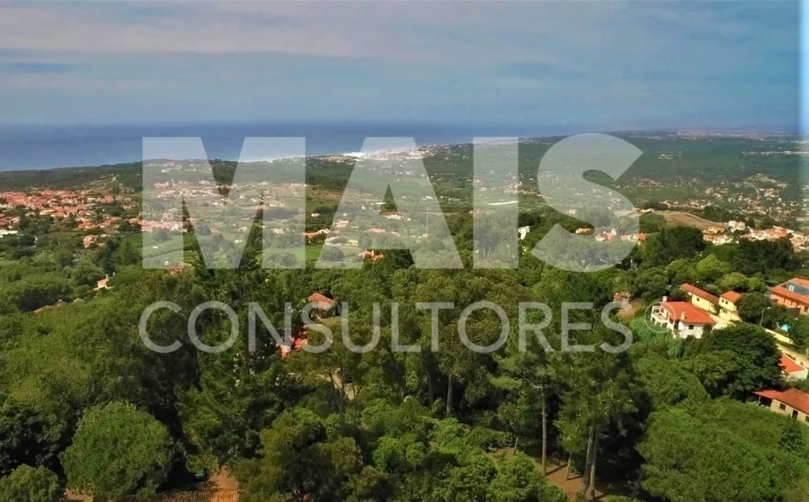 Terreno para Venda em Colares Foto 2