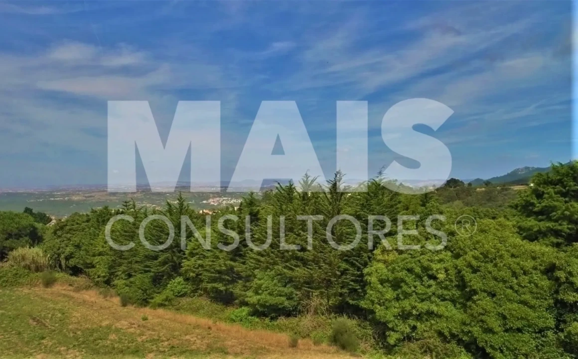Terreno para Venda em Colares Foto 3