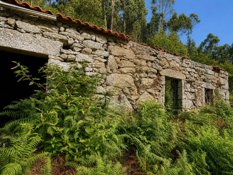 Terreno para Venda em Cendufe Foto 4