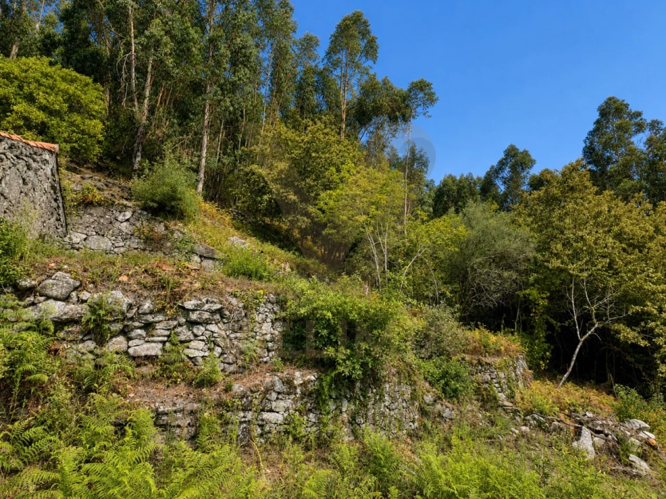 Terreno para Venda em Cendufe Foto 10