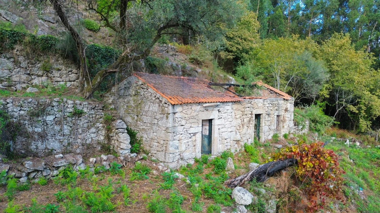 Terreno para Venda em Cendufe Foto 3