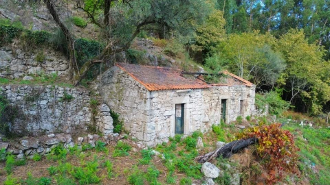 Terreno para Venda em Cendufe