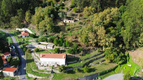 Terreno para Venda em Cendufe