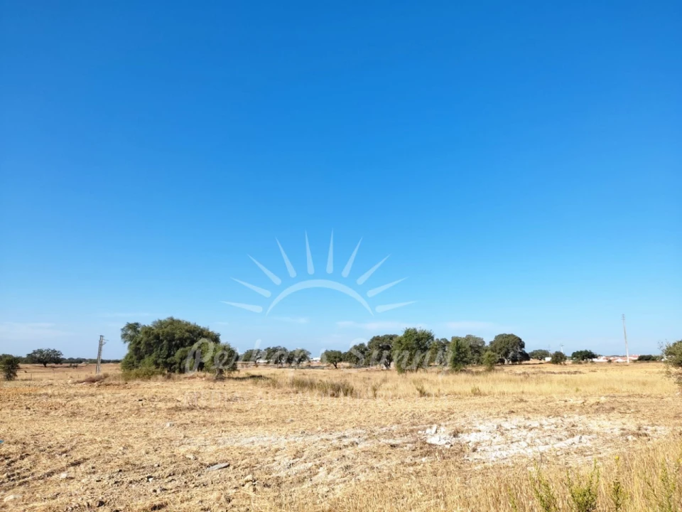 Terreno para Venda em Ermidas-Sado Foto 1