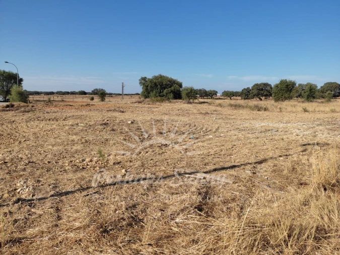 Terreno para Venda em Ermidas-Sado Foto 4