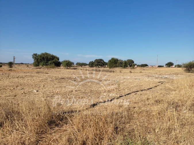 Terreno para Venda em Ermidas-Sado Foto 5