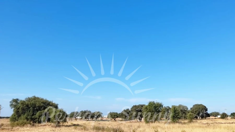 Terreno para Venda em Ermidas-Sado