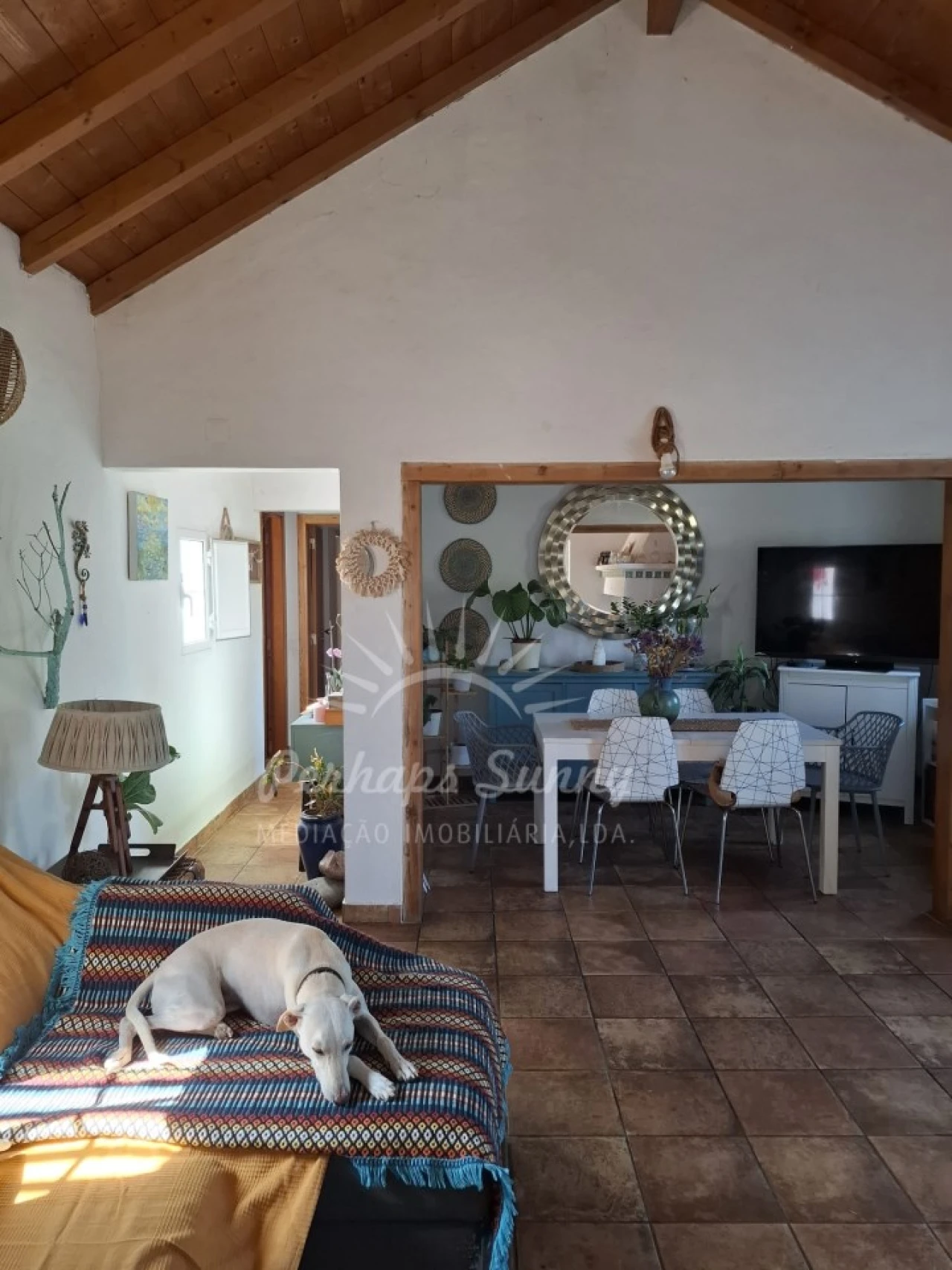 Quinta T4 para Venda em Melides Foto 21