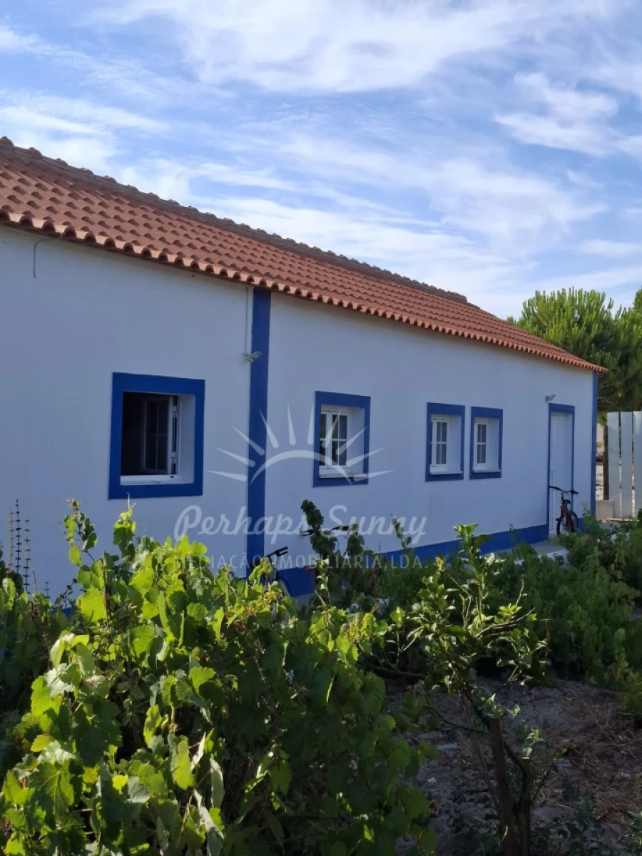Quinta T4 para Venda em Melides Foto 2