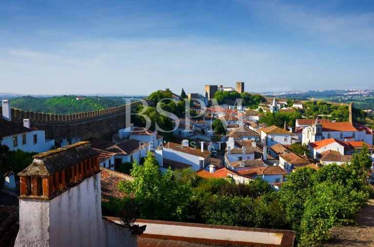 Moradia T3 para Venda em Vau Foto 33
