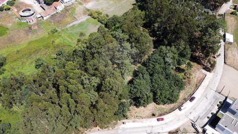 Terreno para Venda em Requeixo, Nossa Senhora de Fátima e Nariz
