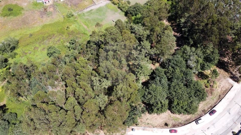 Terreno para Venda em Requeixo, Nossa Senhora de Fátima e Nariz