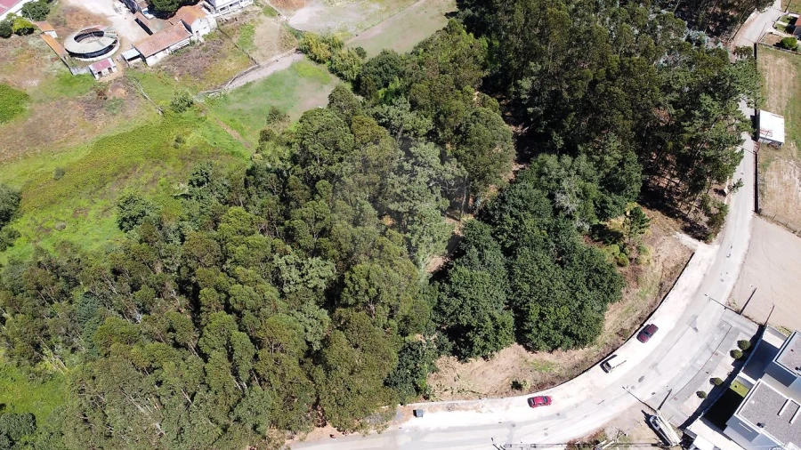 Terreno para Venda em Requeixo, Nossa Senhora de Fátima e Nariz Foto 2