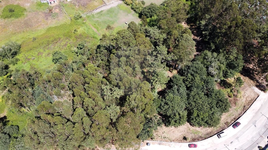 Terreno para Venda em Requeixo, Nossa Senhora de Fátima e Nariz Foto 3