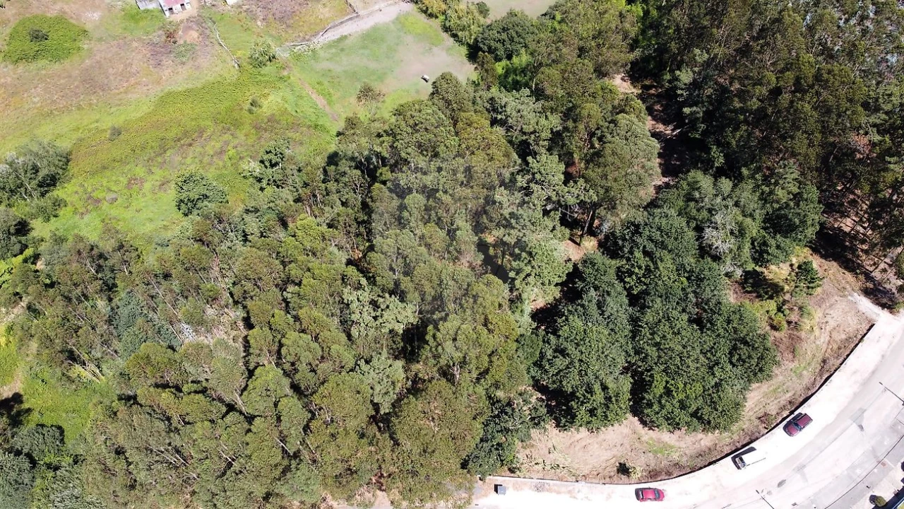 Terreno para Venda em Requeixo, Nossa Senhora de Fátima e Nariz Foto 3