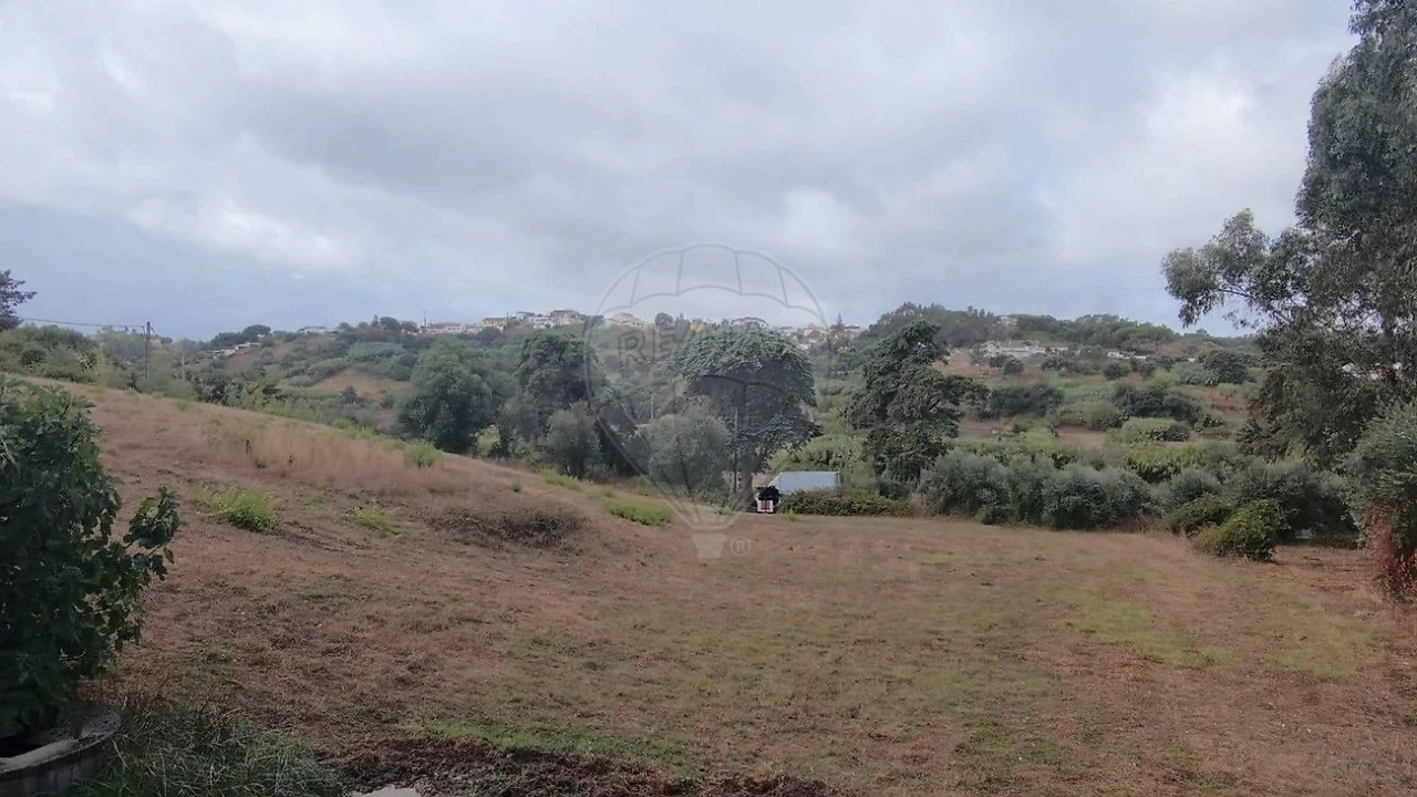 Terreno para Venda em Azambuja Foto 4