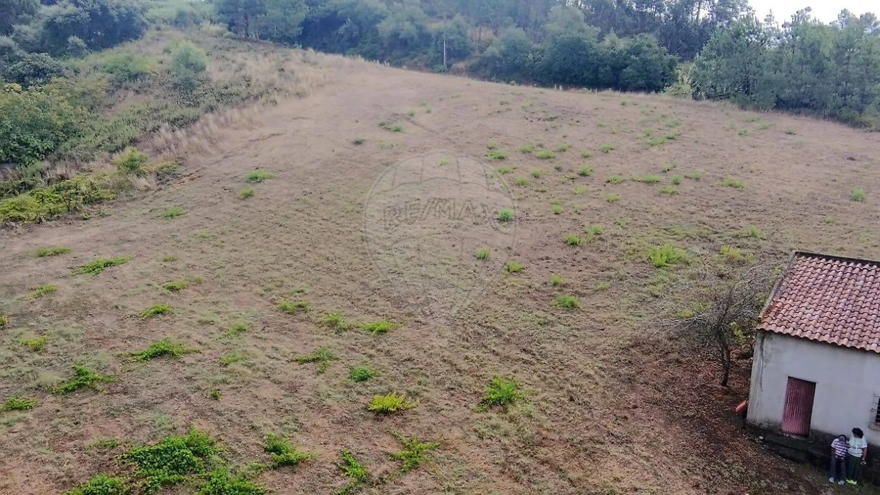 Terreno para Venda em Azambuja Foto 10