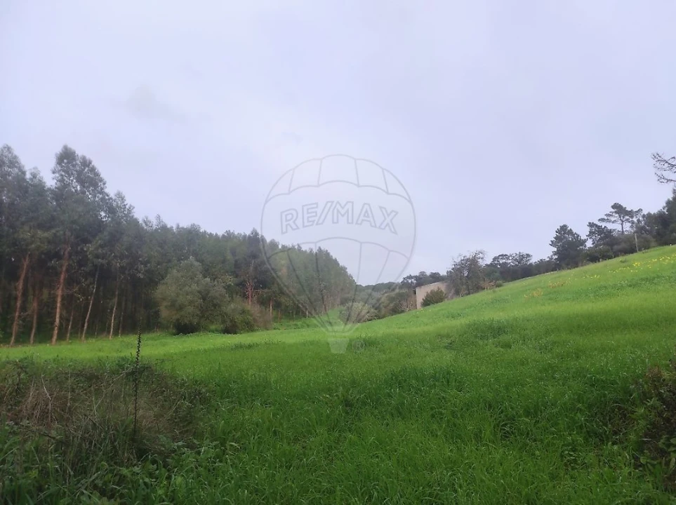 Terreno para Venda em Azambuja Foto 11