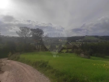 Terreno para Venda em Azambuja