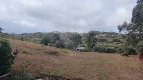 Terreno para Venda em Azambuja