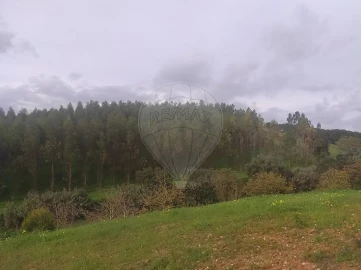 Terreno para Venda em Azambuja