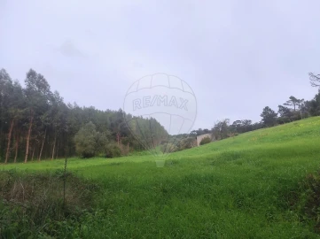 Terreno para Venda em Azambuja