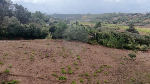 Terreno para Venda em Azambuja